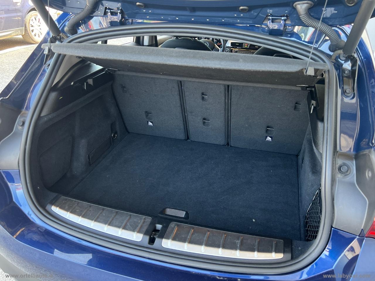 BMW X2 xDrive20d Business-X