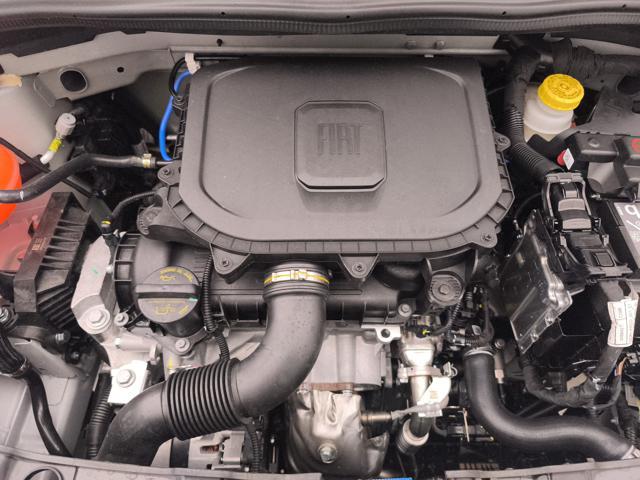 FIAT Panda 1.0 firefly hybrid Pop s&s 70cv