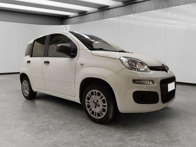 FIAT Panda 1.2 Easy s&s 69cv my19