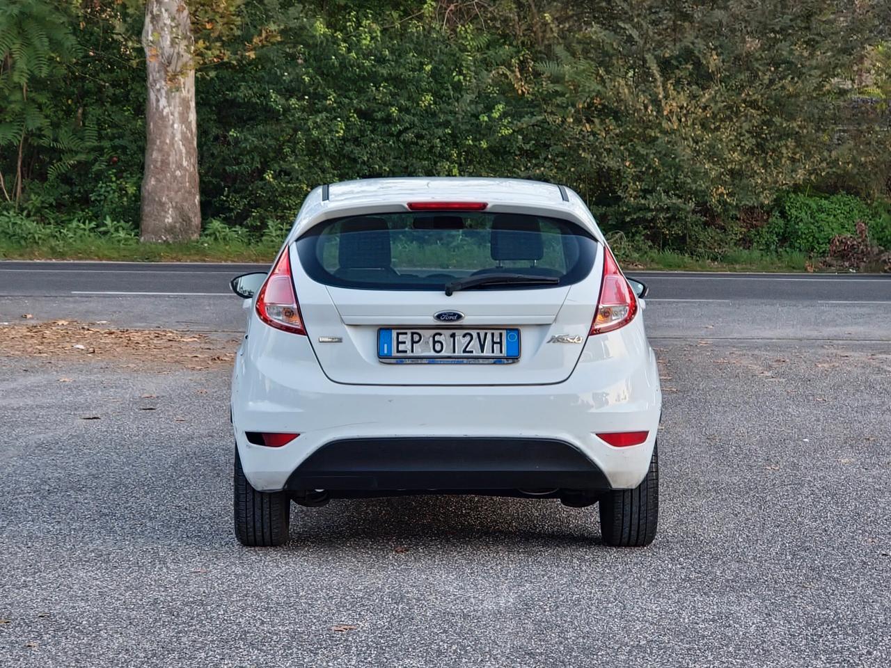 Ford Fiesta 1.5 TDCi 75CV 5 porte Titanium 2013-E5B NEO