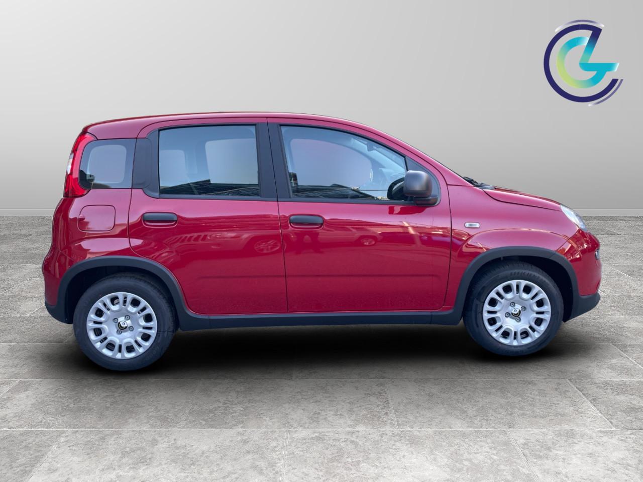 FIAT Panda III 2024 - Panda 1.0 firefly hybrid s&s 70cv