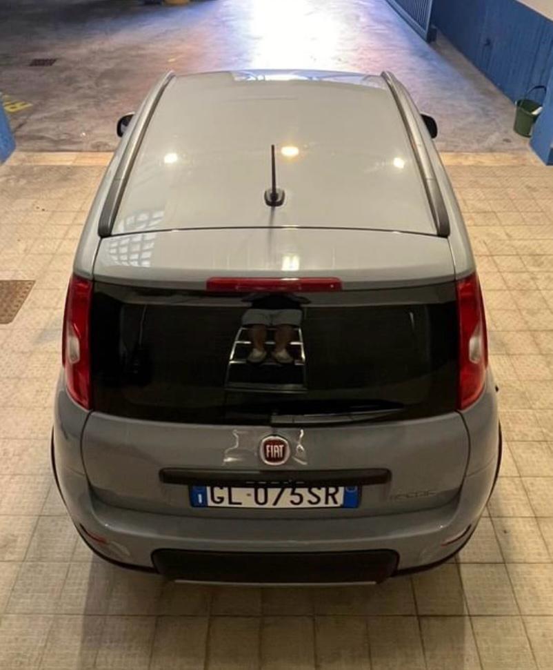 Fiat Panda 1.0 FireFly S&S Hybrid