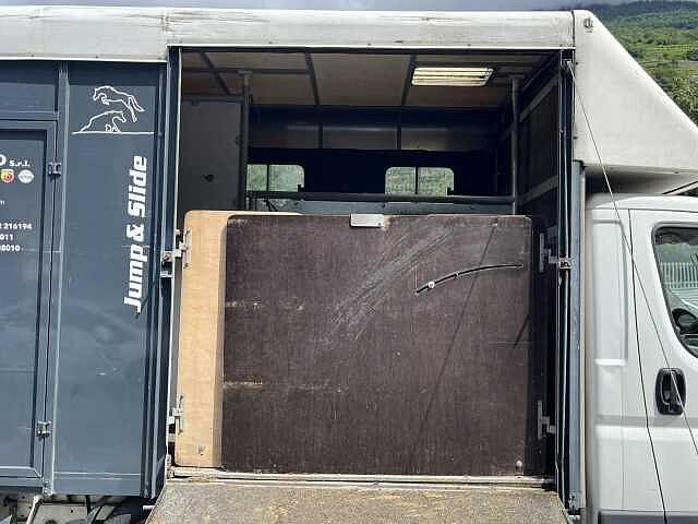 Fiat Ducato 30 2.3 MJT Trasporto Cavalli