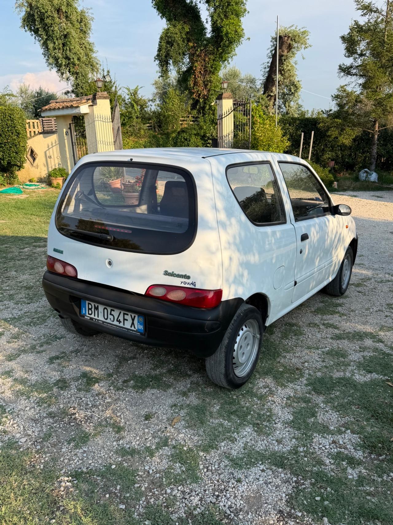 Fiat Seicento 900i cat Fun