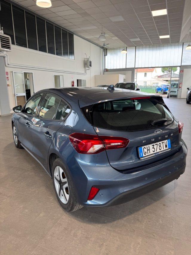 FORD Focus 1.5 EcoBlue 120 CV 5p. Business