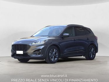 Ford Kuga 2.0 EcoBlue 120CV 2WD ST-Line Auto