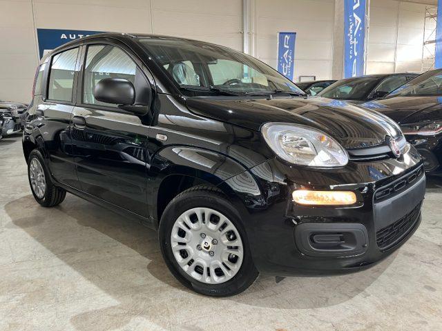 FIAT Panda 1.0 FireFly Hybrid Icon Pandina/PACK CITY+PARK
