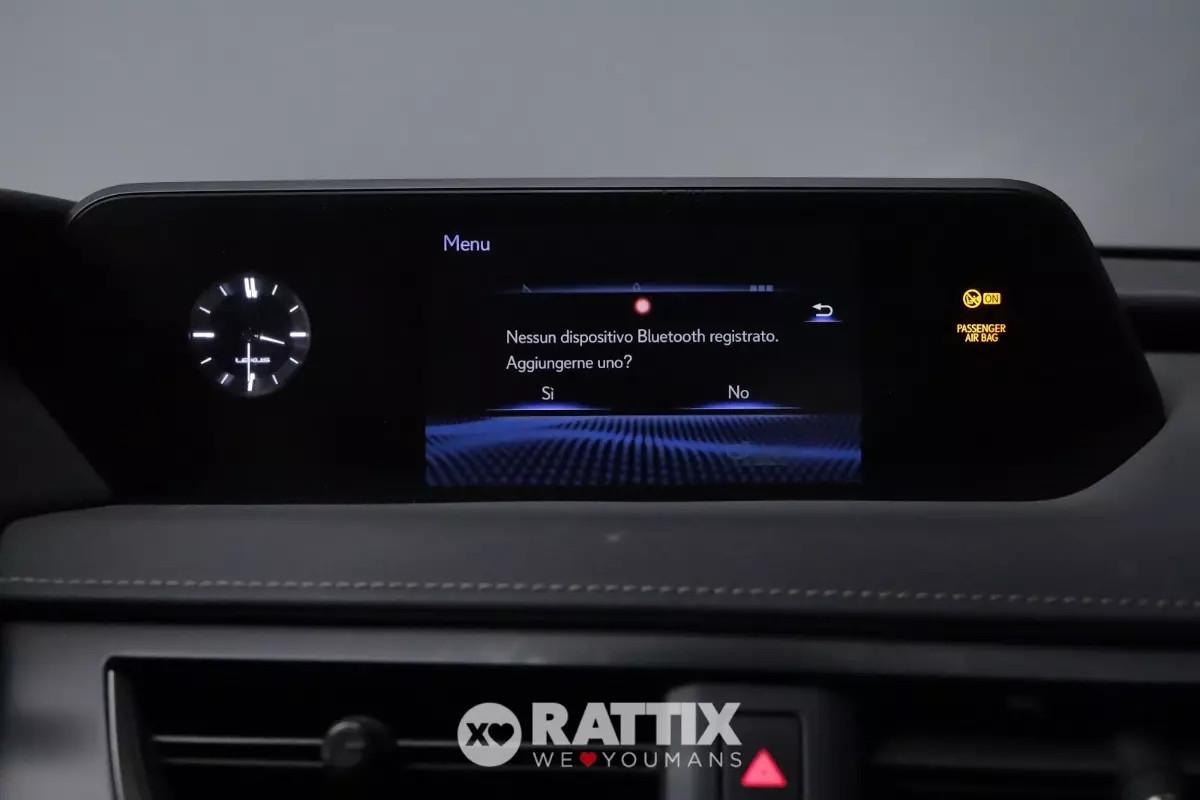 Lexus UX 250h 2.0 Hybrid Executive CVT 4WD
