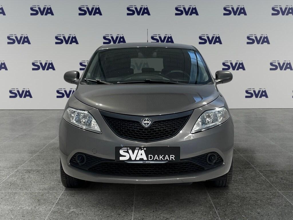 Lancia Ypsilon 1.2 69cv Elefantino Blu GPL