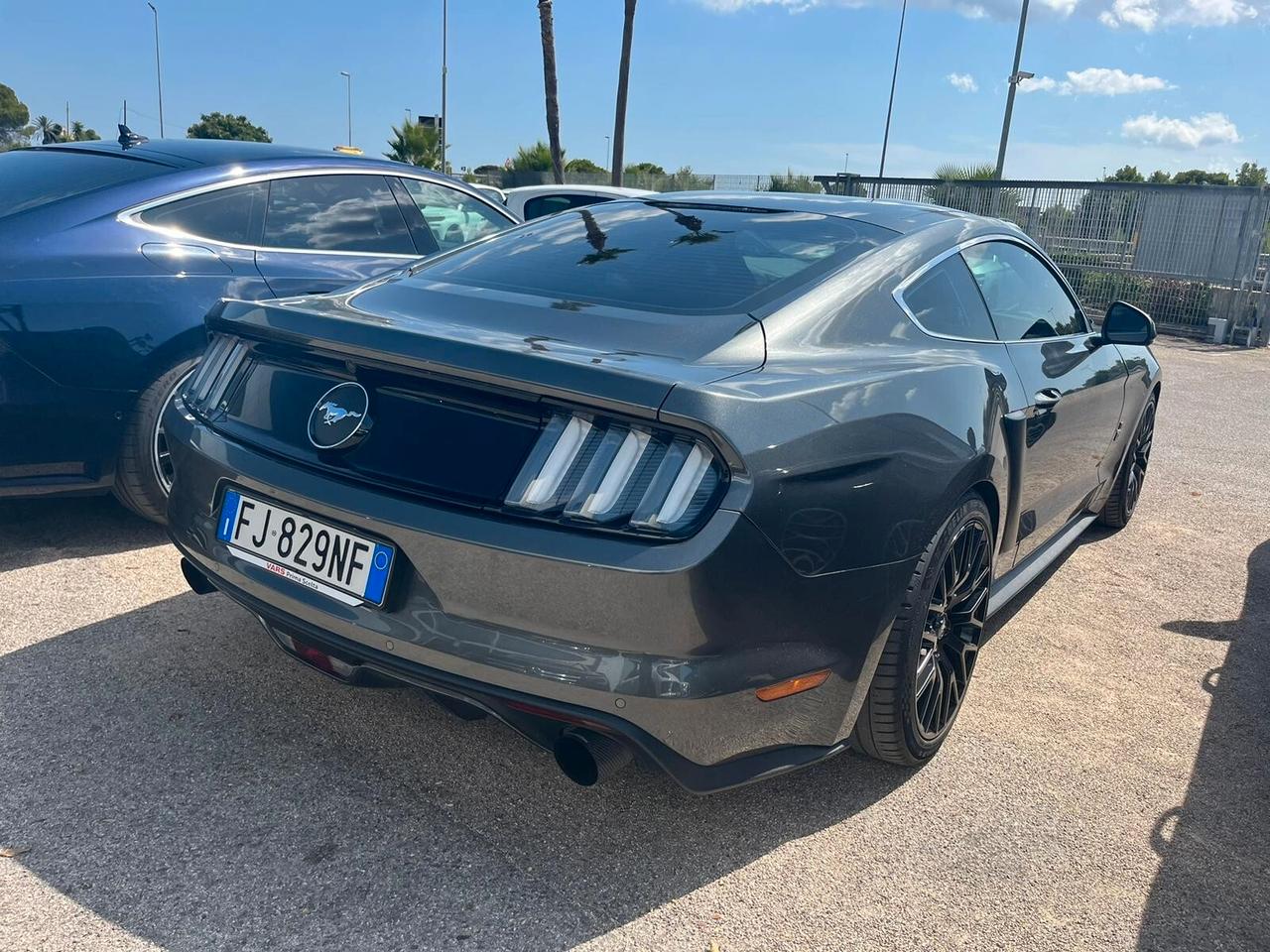 Mustang SHELBY Line