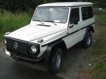 Mercedes-benz G GD300/460 Autocarro