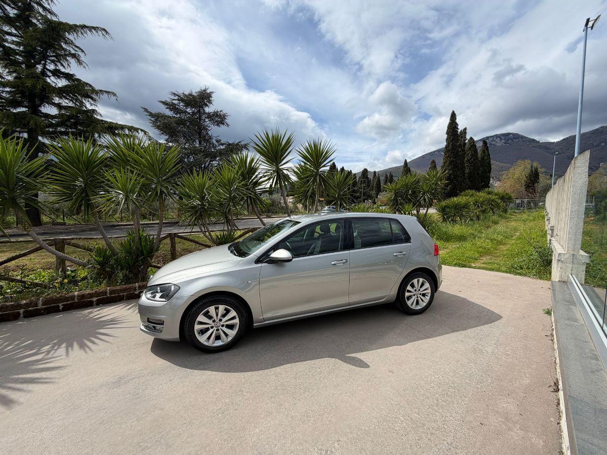VOLKSWAGEN - Golf - 1.4 TGI 5p. Highline BlueMotion