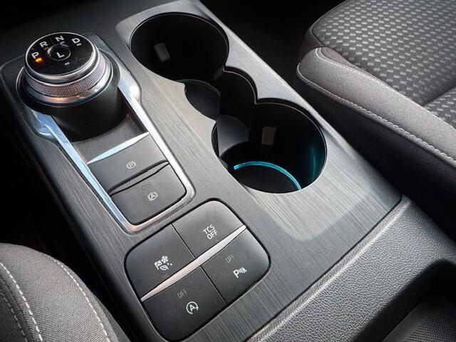 Ford Focus 1.5 EcoBlue 120 CV automatico SW Business Co-Pilot