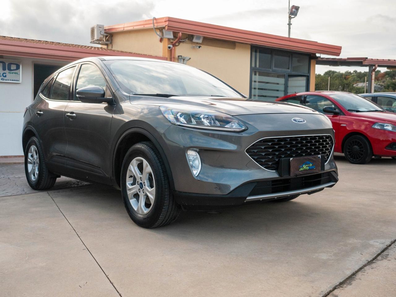 Ford Kuga 1.5 EcoBlue 120 CV aut. 2WD Connect