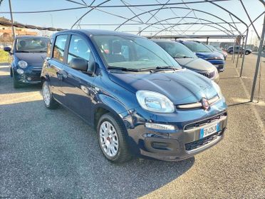 FIAT Panda Panda 1.2 Easy