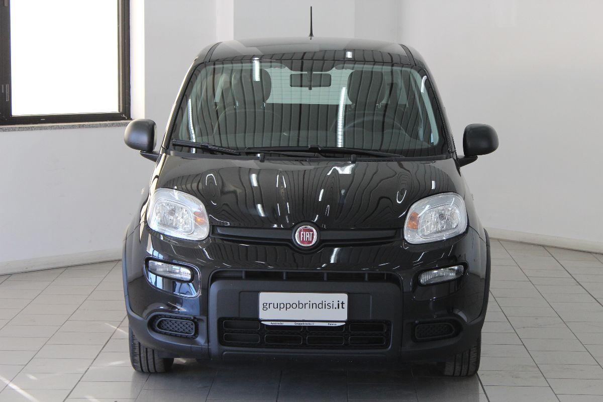 FIAT - Panda - 1.0 FireFly S&S Hybrid Launch Ed.