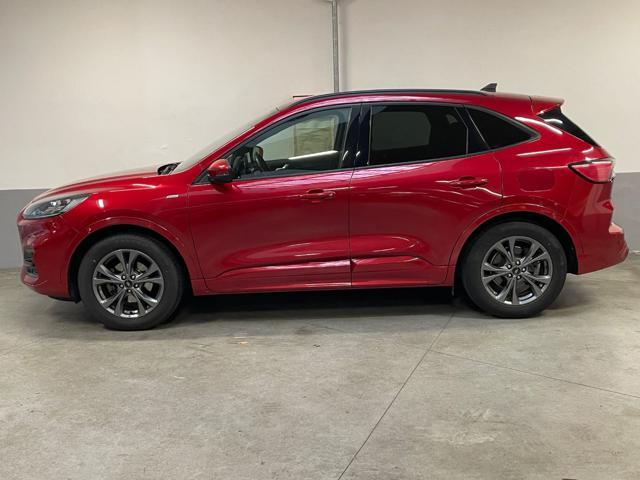 FORD Kuga 1.5 EcoBoost 150 CV 2WD ST-Line X