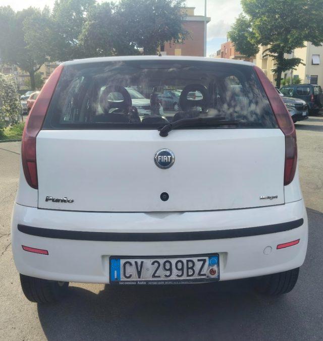 FIAT Punto 1.3 Multijet 16V 5 porte Dynamic Ok Neopatentati