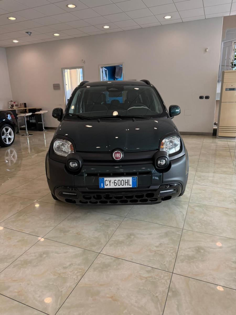 FIAT - Panda - 1.0 FireFly S&S Hybrid Pandina