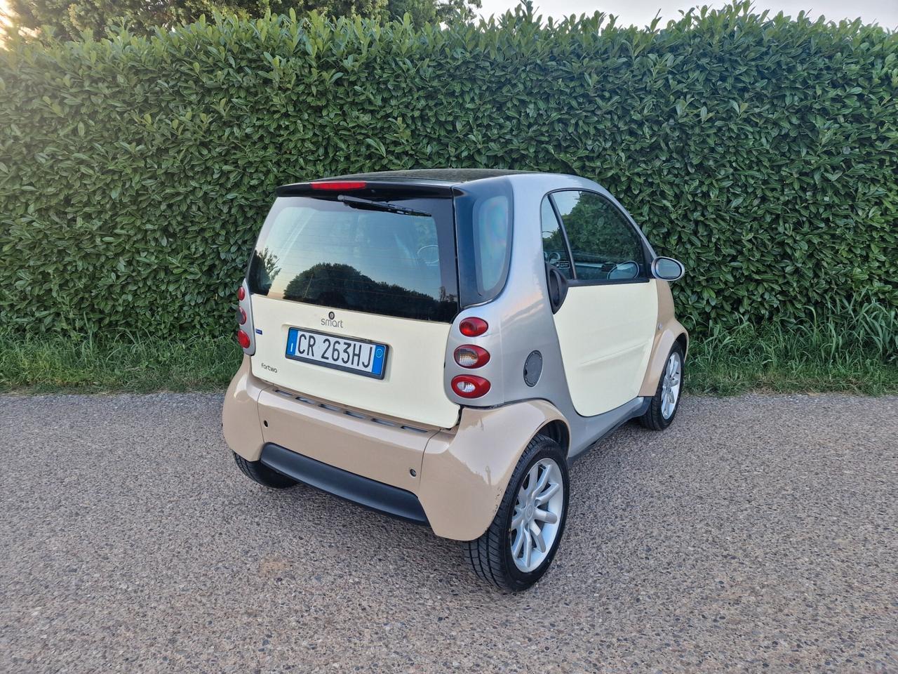 Smart ForTwo 700 45kw