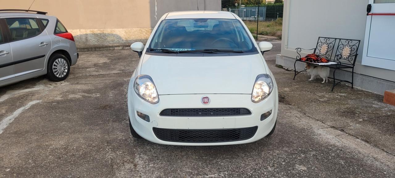 Neopatentata Fiat Punto 1.2 8V 5 porte Street Unico proprietario