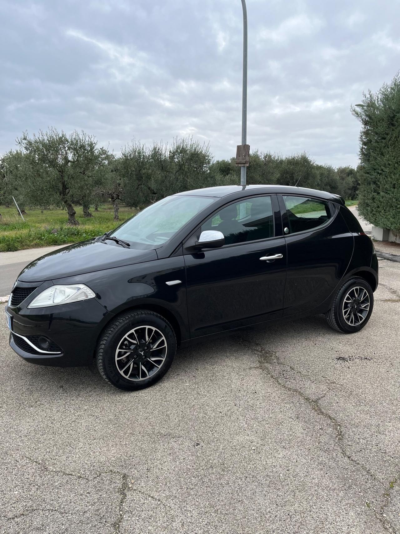 Lancia Ypsilon 0.9 TwinAir 85 CV 5 porte Metano Ecochic Platinum