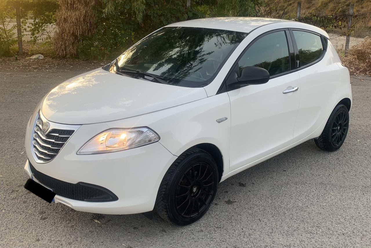 Lancia Ypsilon 1.3 MJT 16V 95 CV 5 porte S&S Platinum