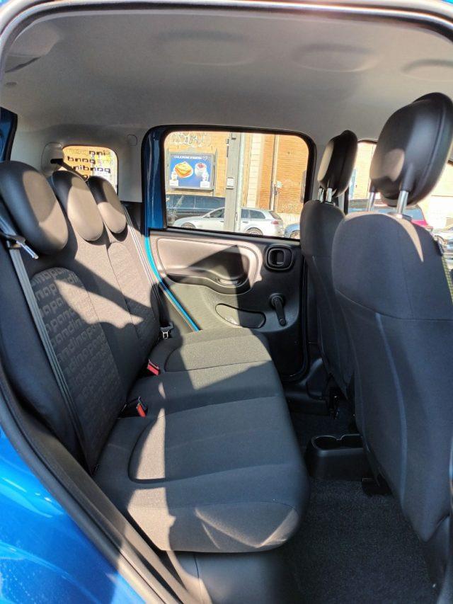 FIAT Panda 1000 HYBRID PANDINA 70 CV CARPLAY PDC ITALIA