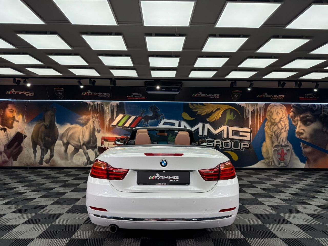 Bmw 420 420d Cabrio (730)