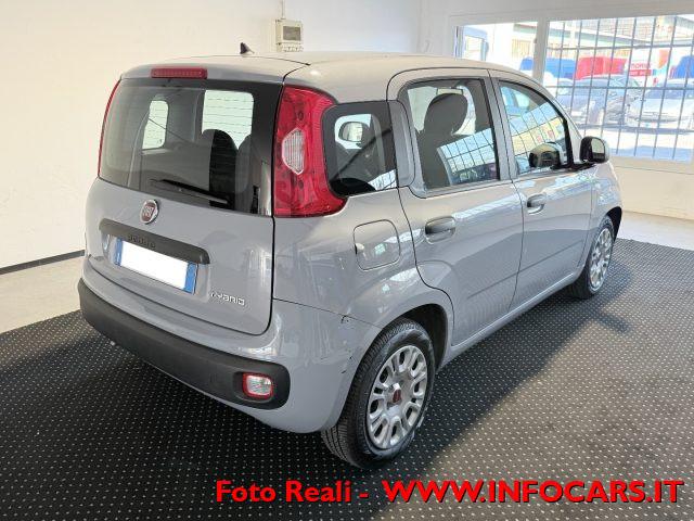 FIAT Panda Hybrid 1.0 FireFly 70 cv - PROMO