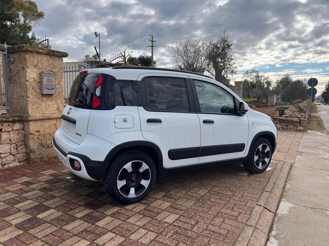 Fiat Panda Cross 1.0 FireFly S&S Hybrid