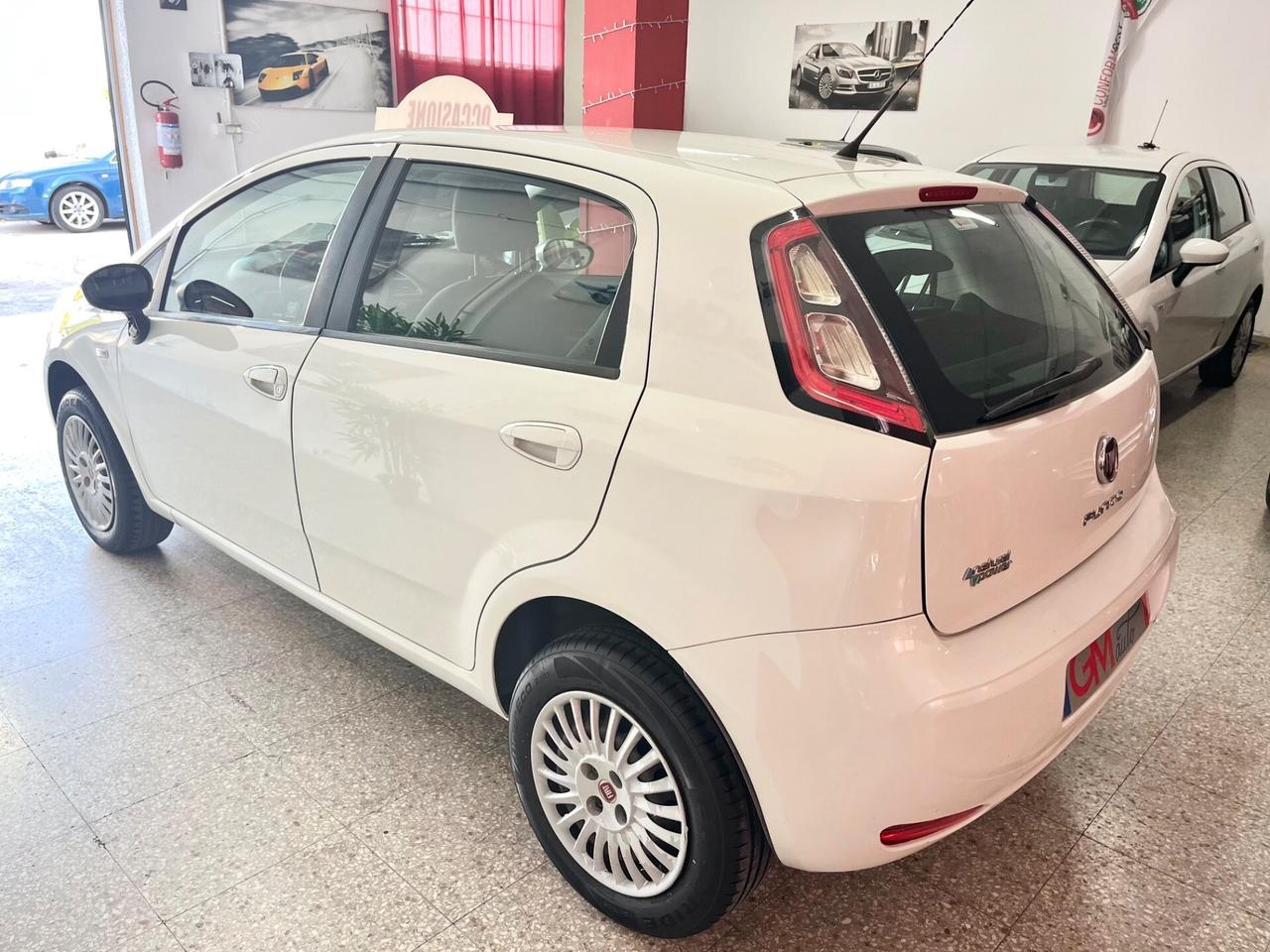 Fiat Punto 1.4 8V 5 porte Natural Power Street