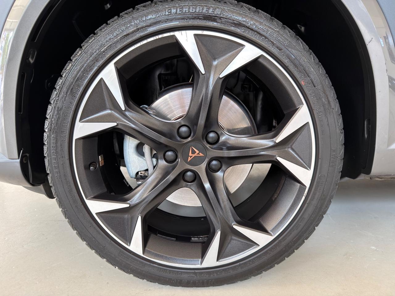 Cupra Formentor 1.5 TSI DSG Opaco+ Tetto apribile