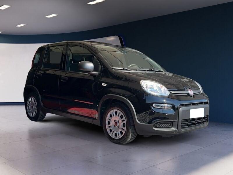 FIAT Panda Panda 1.0 FireFly 70cv S&S Hybrid * PROMO *