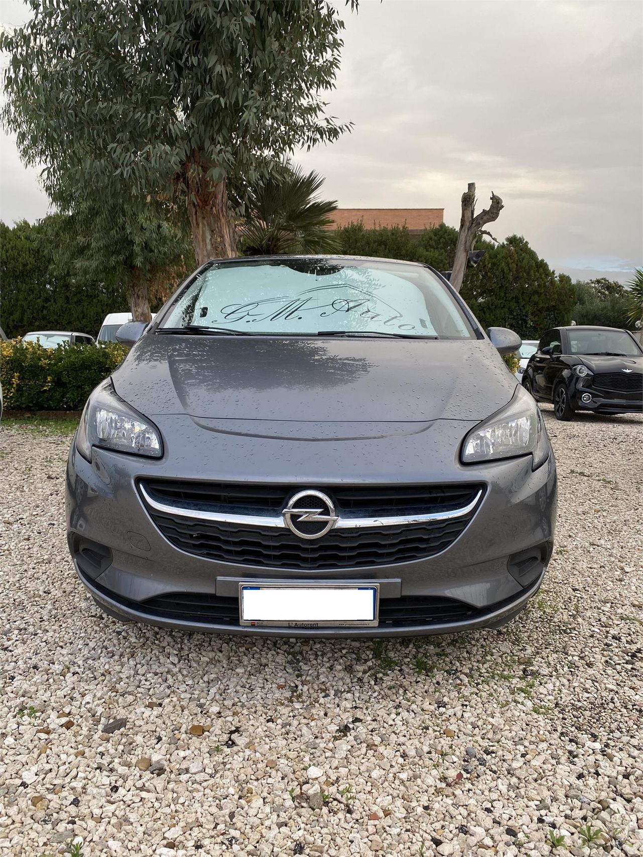OPEL Corsa Corsa 1.4 90 CV GPL Tech 5p. Advance Ecotec 137.857 Km 10.