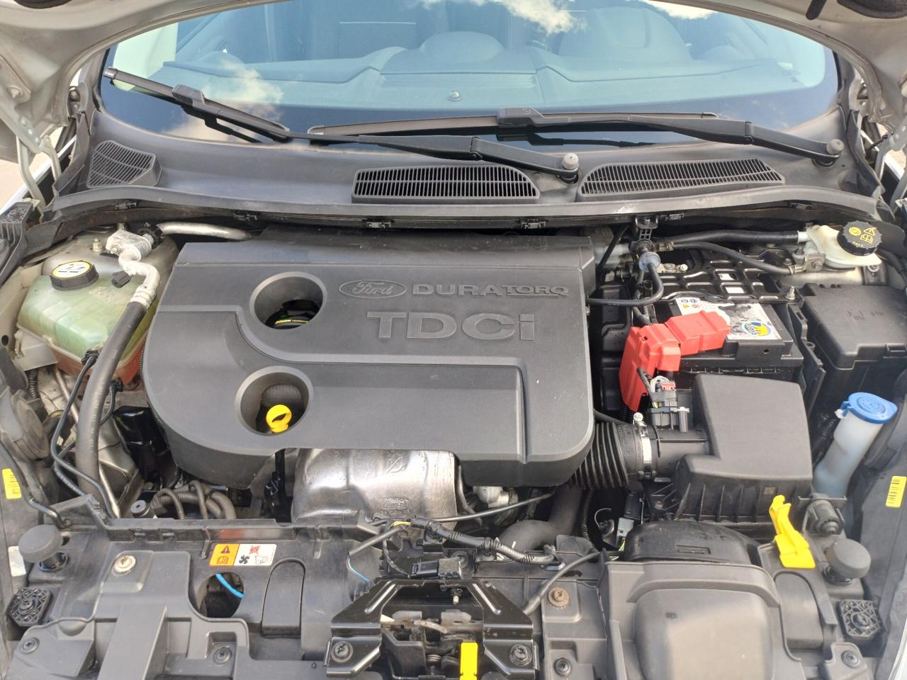 Ford Fiesta 1.5 TDCi 75CV 5 porte Titanium