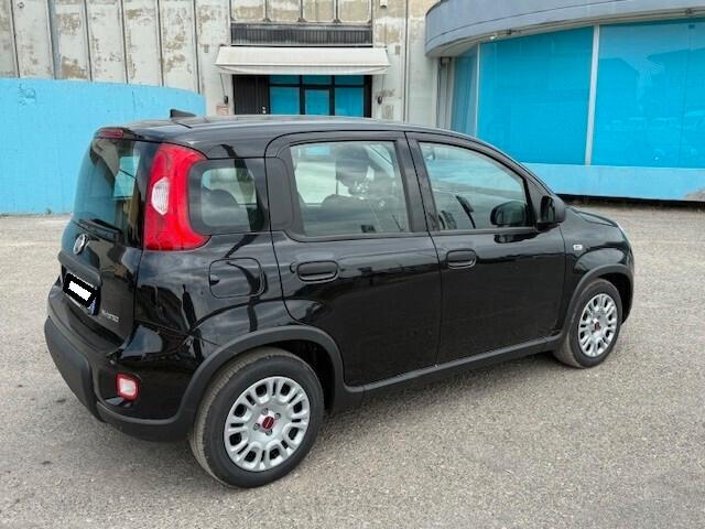 Fiat Panda 1.0 Hybrid neopatentati iva esposta