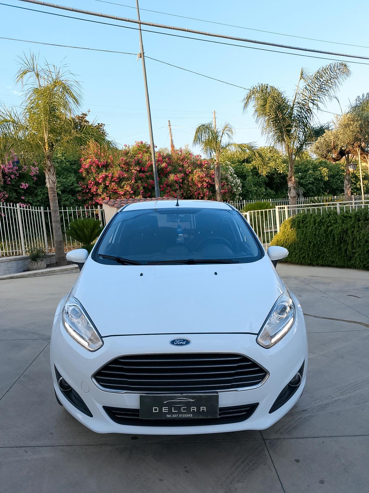 Ford Fiesta 1.4 5 porte Bz.- GPL Black & White Edition