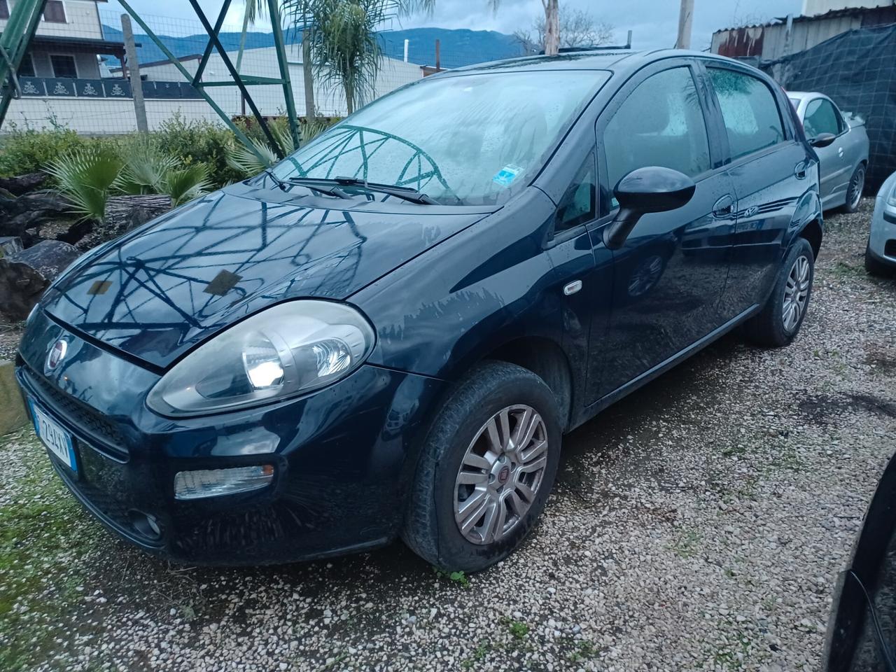 Fiat Punto 1.4 8V 5 porte Natural Power Street