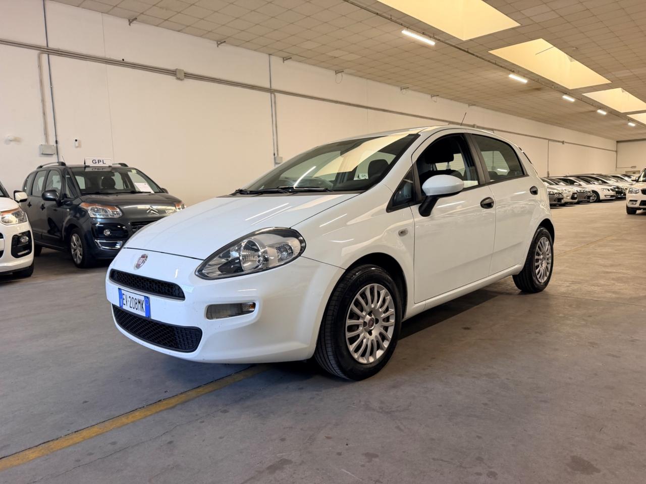 Fiat Punto 1.2 8V 5 porte Street