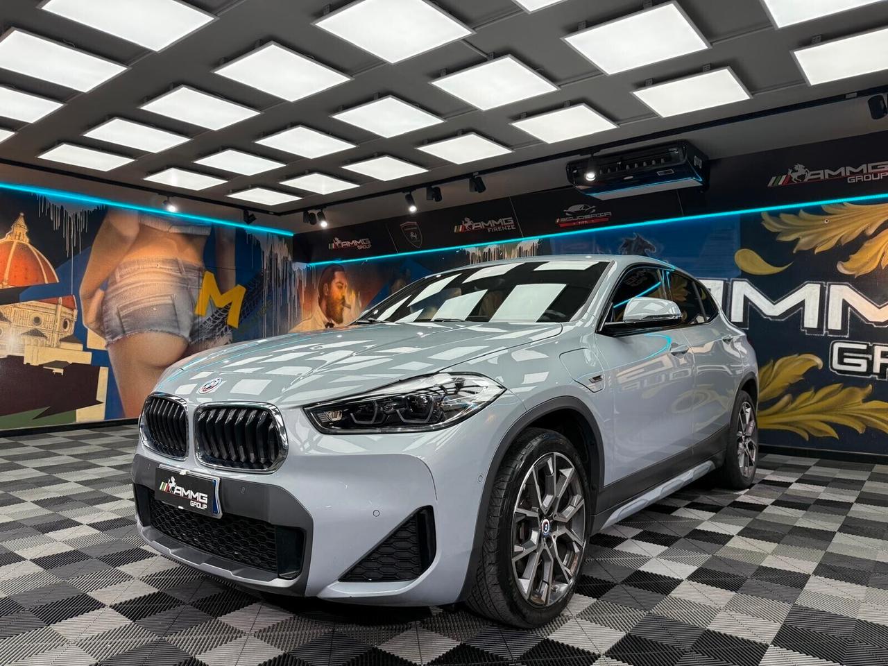 Bmw X2 xDrive25e Business-X (339)