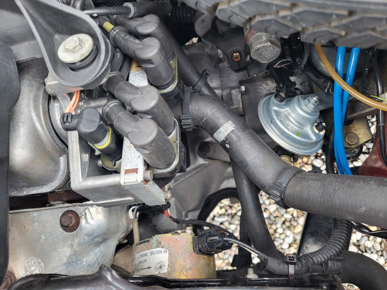 Fiat Panda 1100 i.e. cat Young ASI