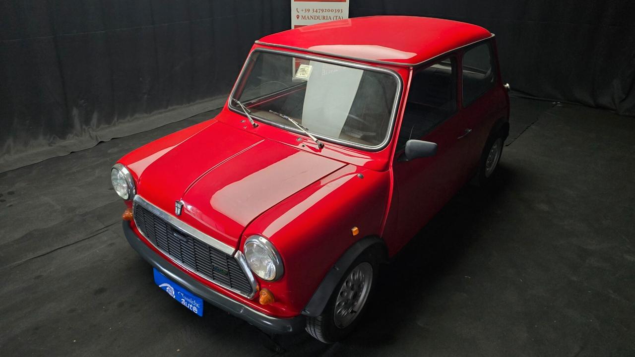 Mini 1000 HLE 1.0cc