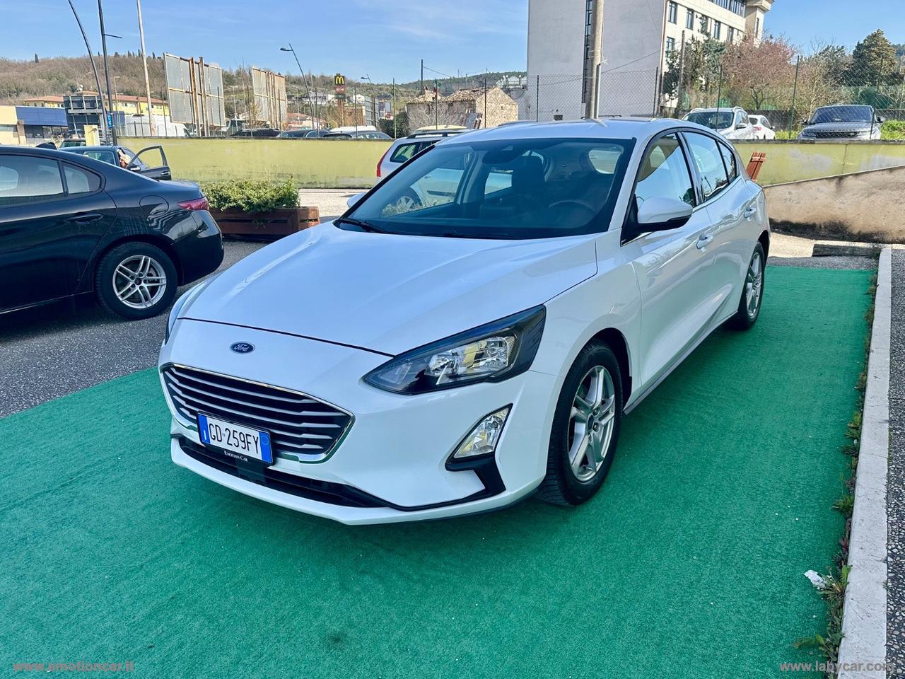 FORD Focus 1.5 EcoBlue 95CV 5p. Business AUTOCARRO N1 - 2020