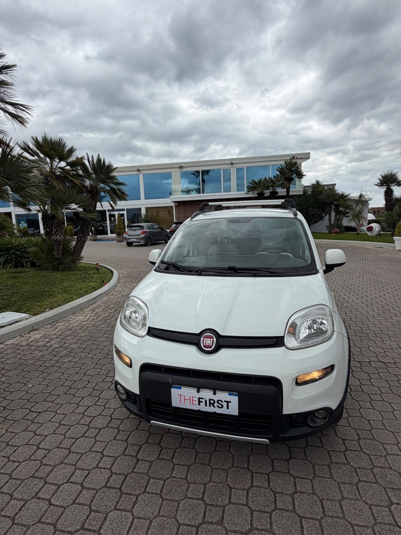 Fiat Panda 1.3 MJT S&S 4x4 Antartica