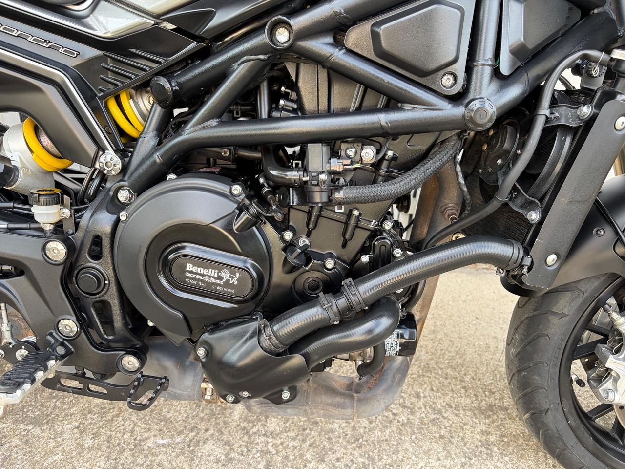 Benelli Leoncino 800