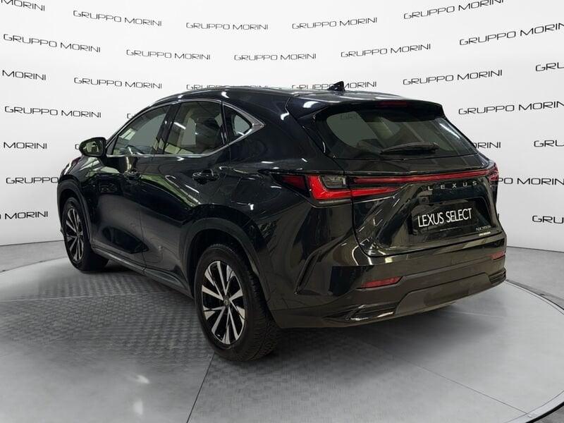 Lexus NX Hybrid Business 4WD