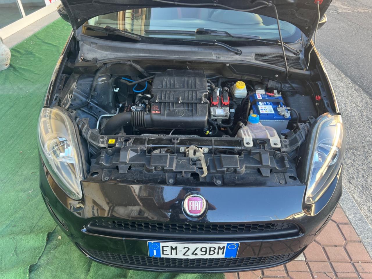 Fiat Punto Evo Punto Evo 1.2 5 porte S&S Dynamic