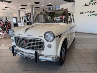 Fiat 900 FIAT 1100H ISCRITTA ASI