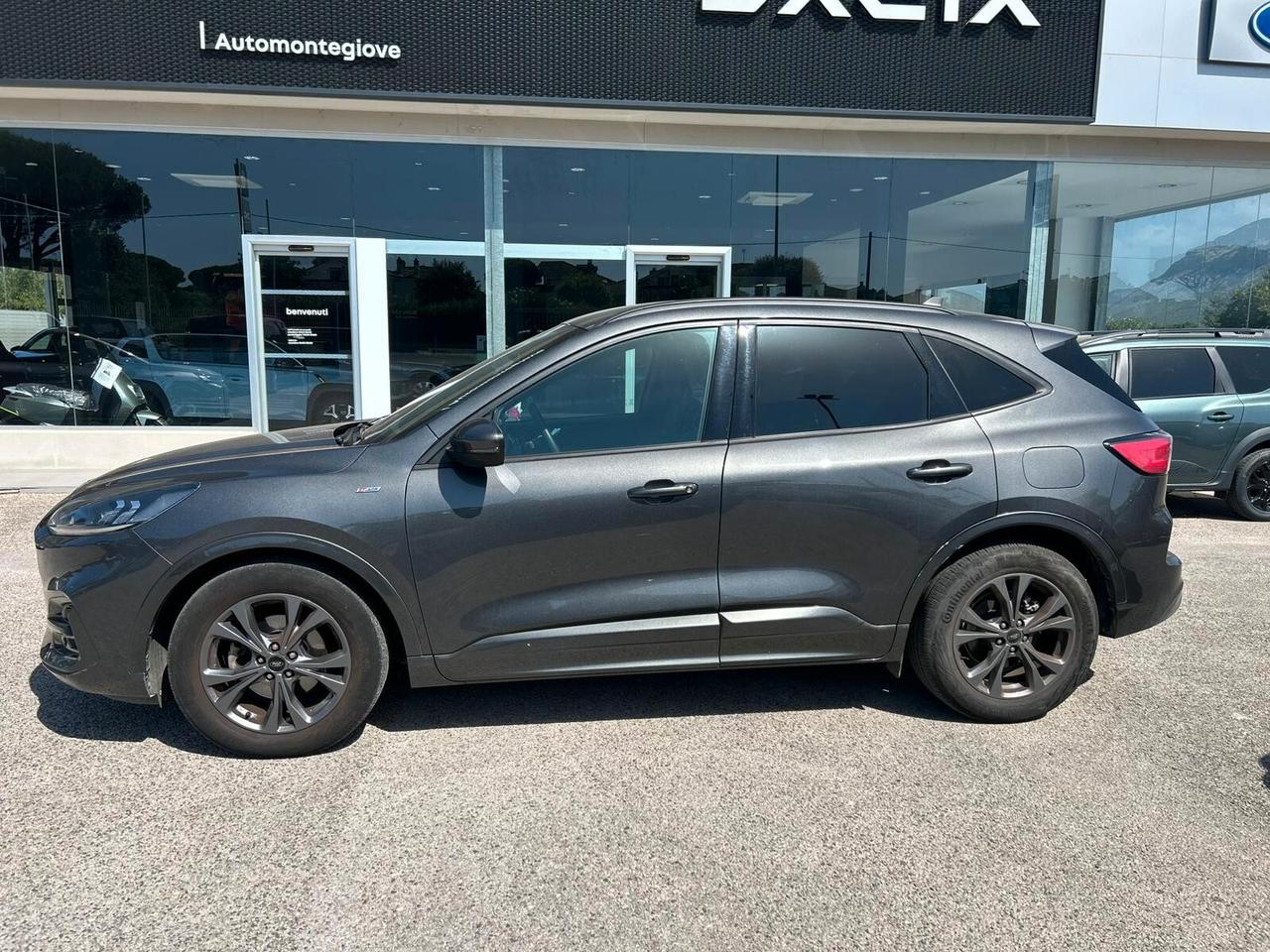 Ford Kuga 1.5 EcoBlue 120 CV 2WD ST-Line
